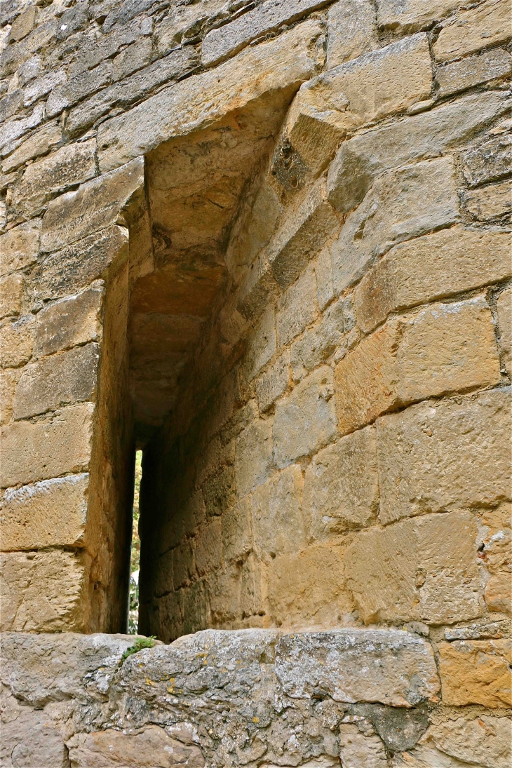 Le château de Castelnaud. - Castelnaud-la-Chapelle