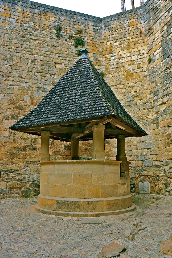 Le château de Castelnaud. - Castelnaud-la-Chapelle