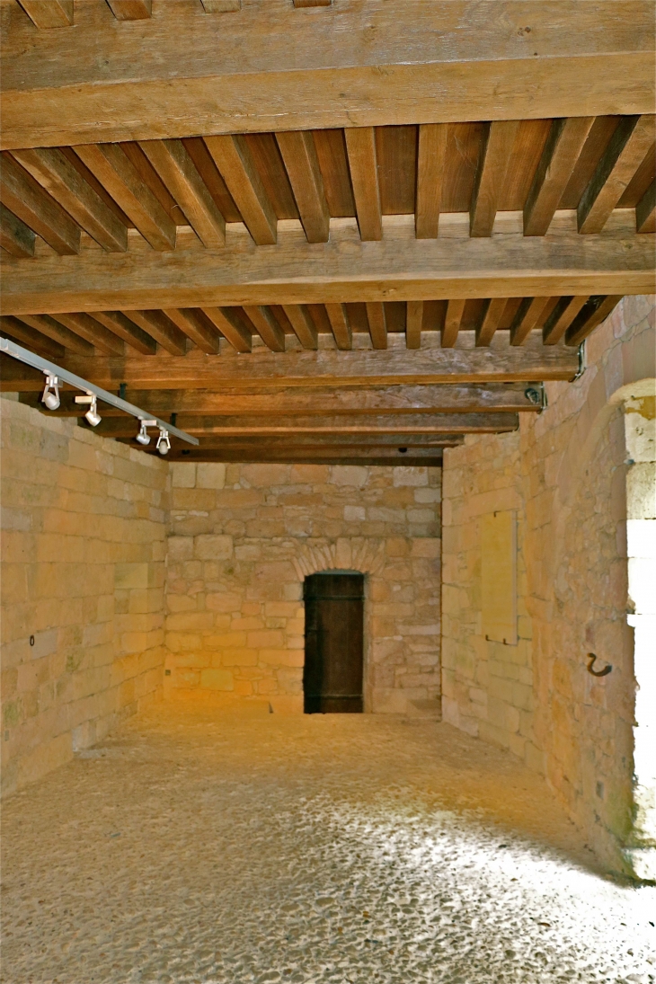 Le château de Castelnaud. - Castelnaud-la-Chapelle