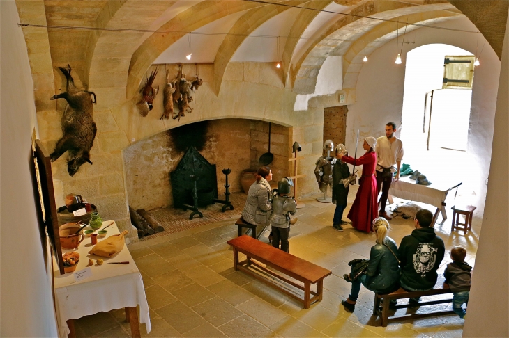 Le château de Castelnaud. - Castelnaud-la-Chapelle