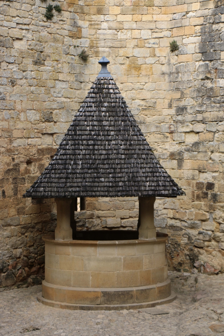 Le château de Castelnaud. - Castelnaud-la-Chapelle