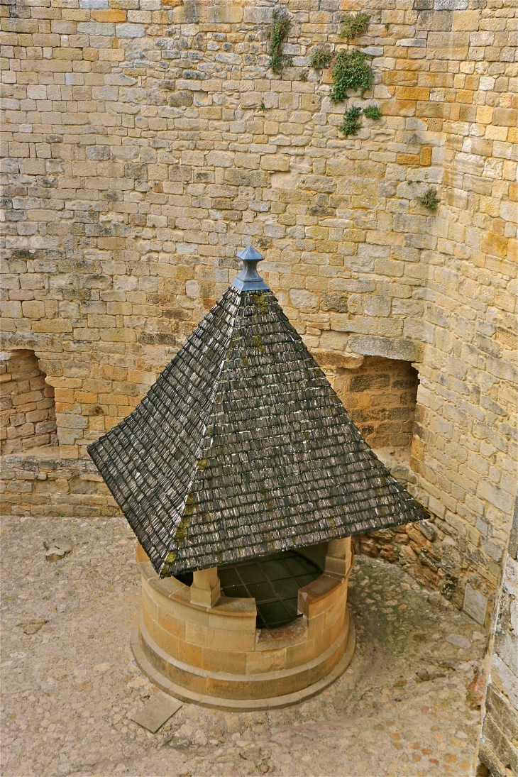 Le château de Castelnaud. - Castelnaud-la-Chapelle