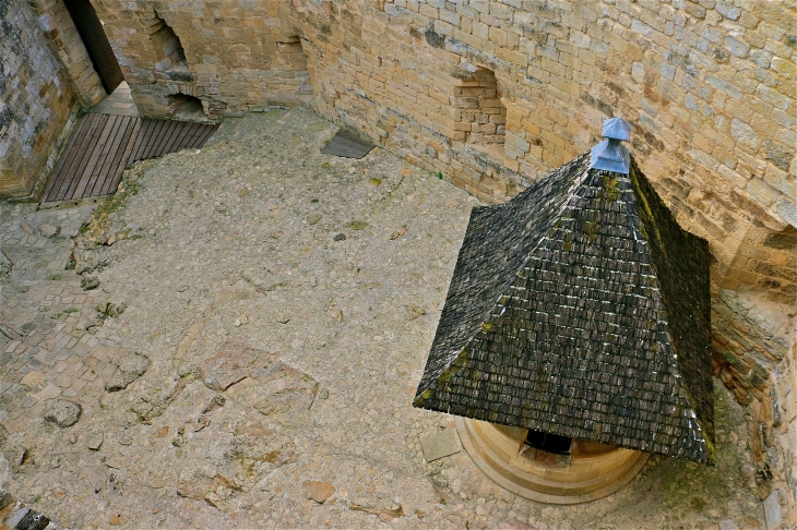 Le château de Castelnaud. - Castelnaud-la-Chapelle