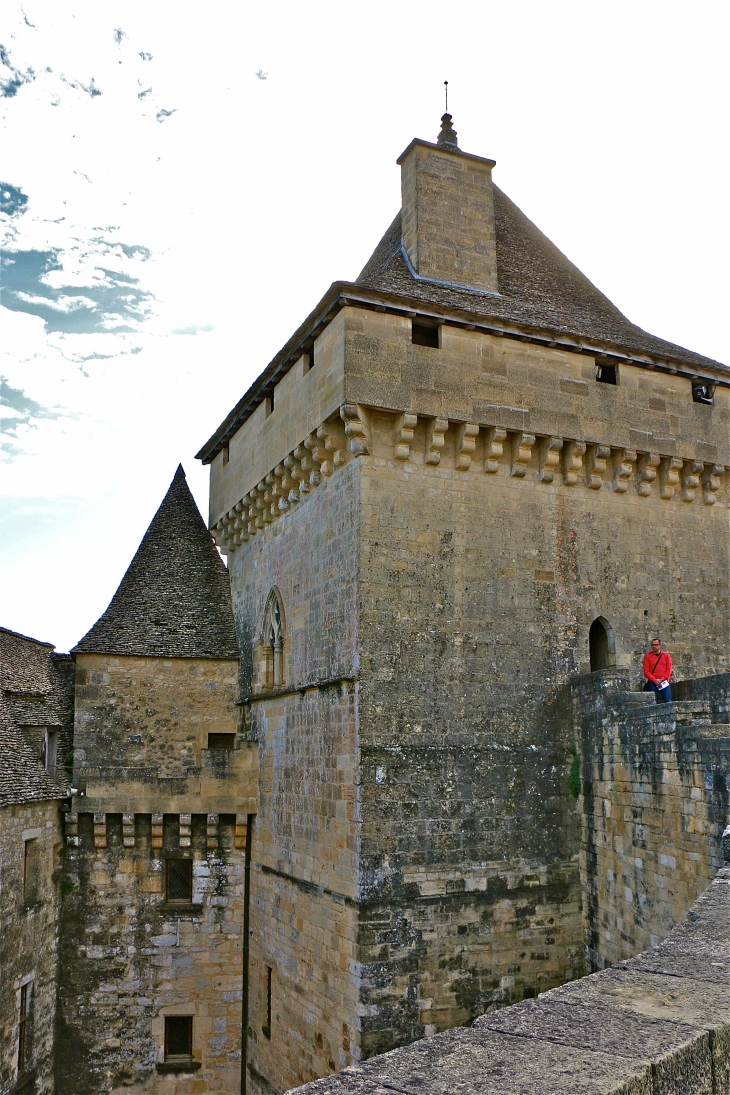 Le château de Castelnaud. - Castelnaud-la-Chapelle