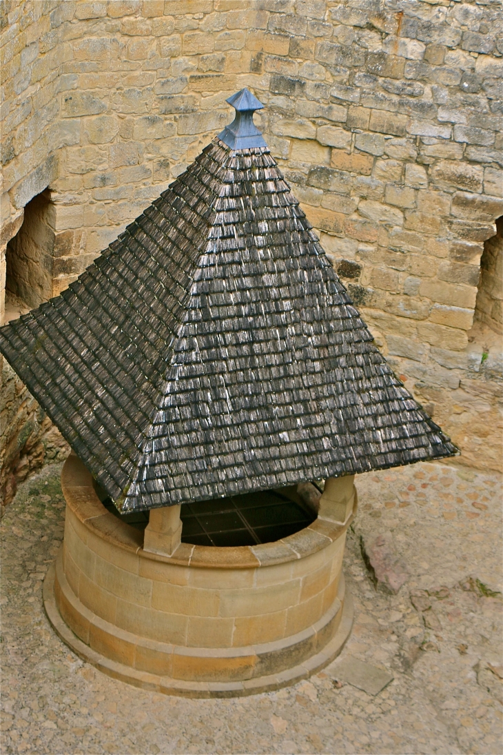 Le château de Castelnaud. - Castelnaud-la-Chapelle