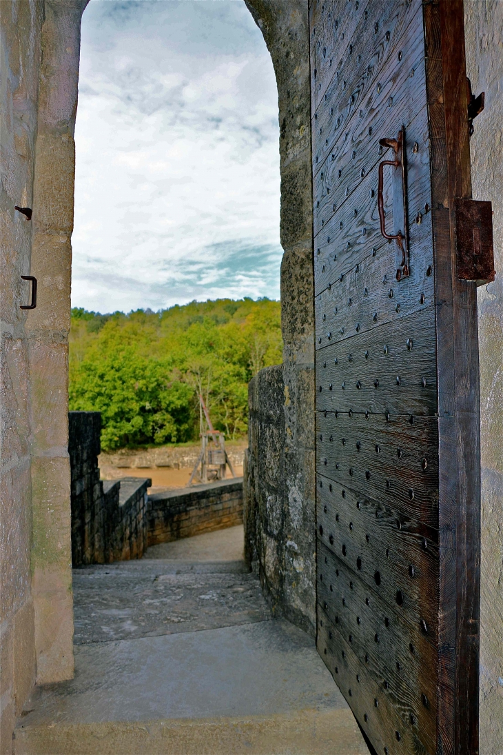 Le château de Castelnaud. - Castelnaud-la-Chapelle