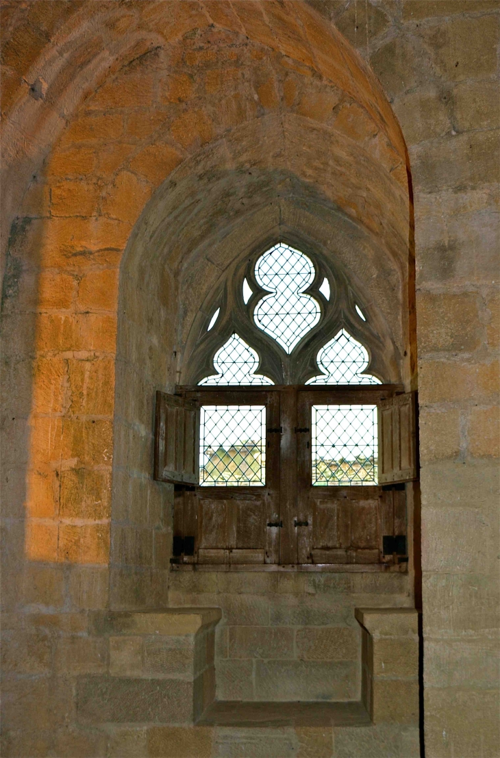 Le château de Castelnaud. - Castelnaud-la-Chapelle