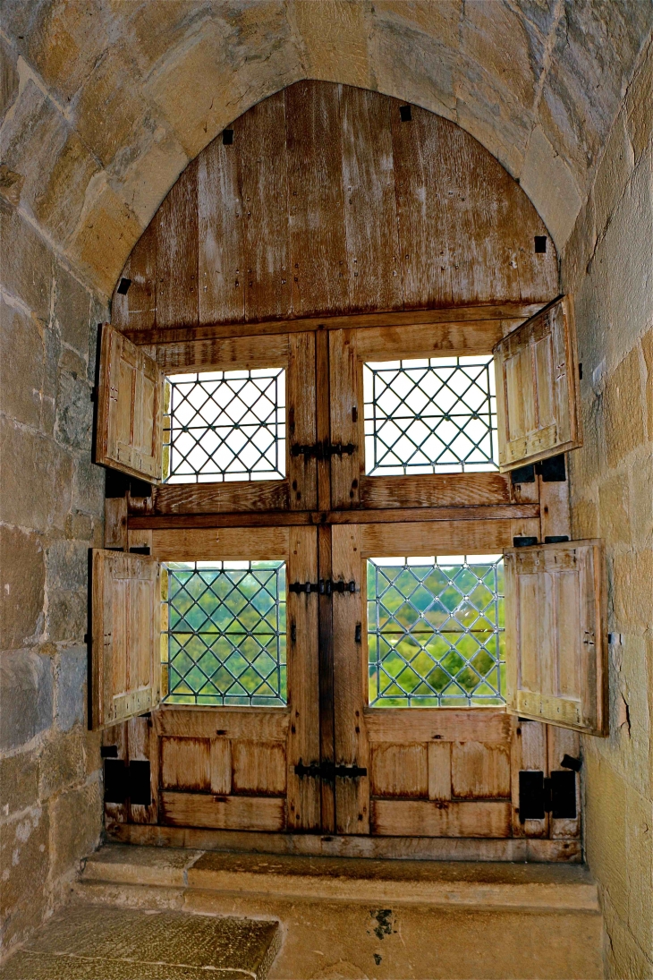 Le château de Castelnaud. - Castelnaud-la-Chapelle