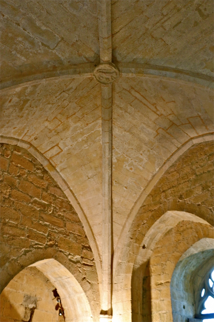 Le château de Castelnaud. - Castelnaud-la-Chapelle