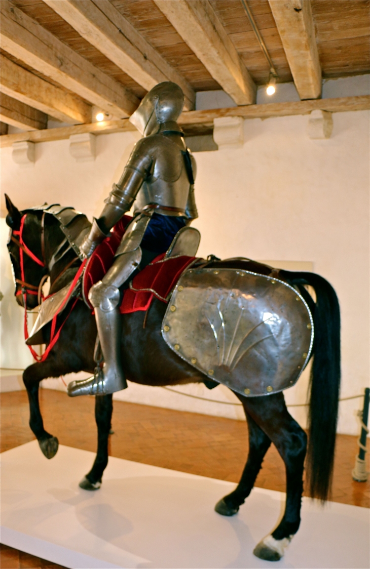 Le château de Castelnaud. - Castelnaud-la-Chapelle