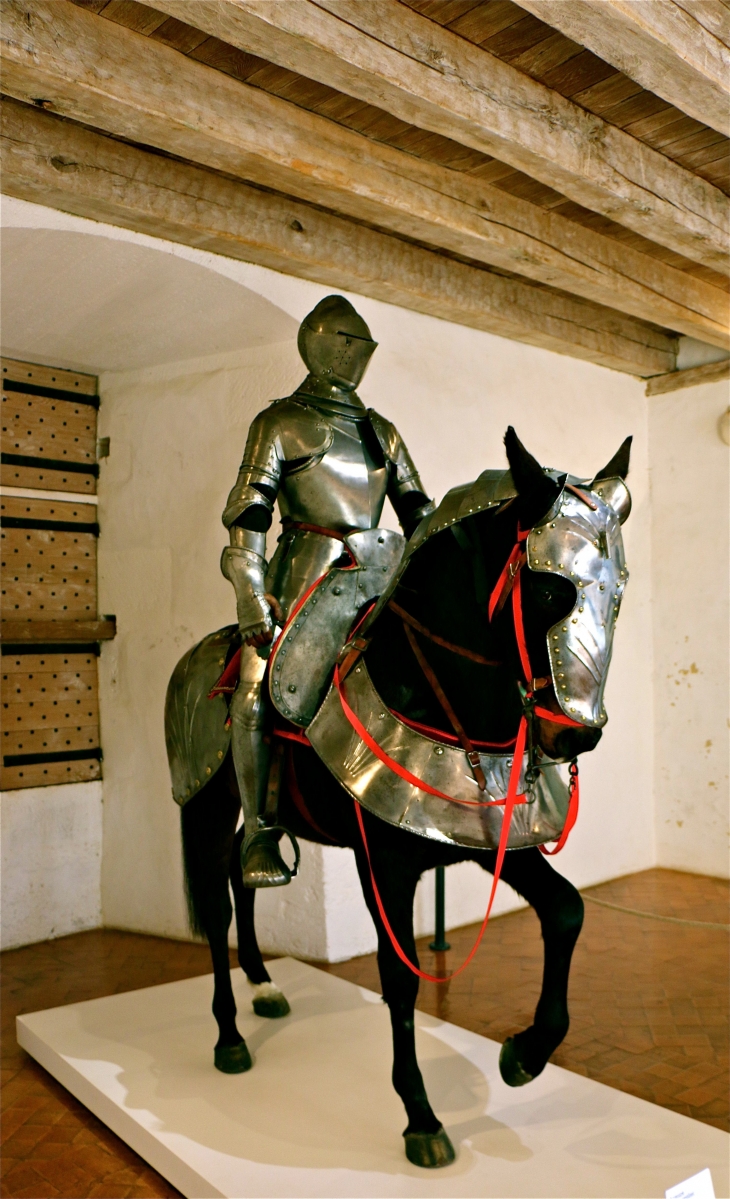 Le château de Castelnaud. - Castelnaud-la-Chapelle