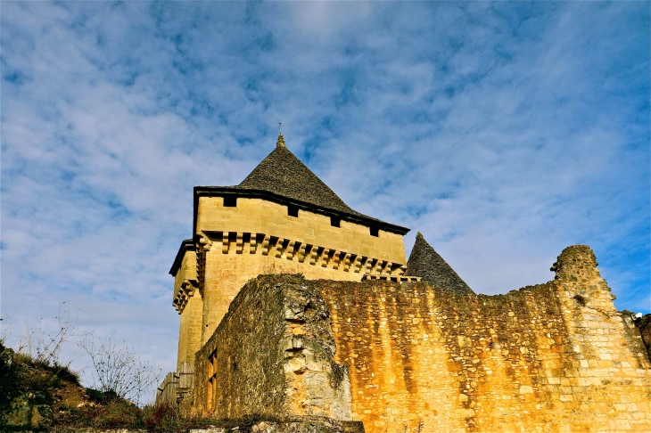 Le chateau de castelnaud - Castelnaud-la-Chapelle