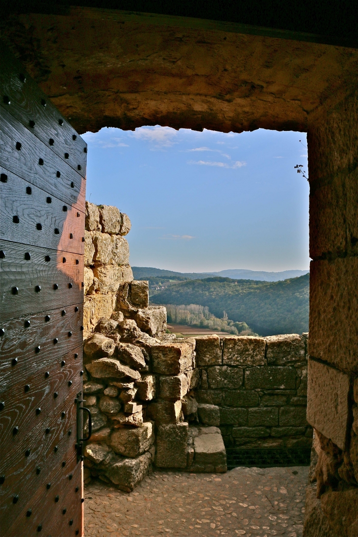 Le chateau de castelnaud - Castelnaud-la-Chapelle