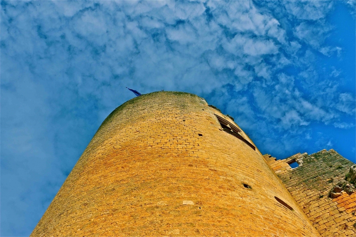 Le chateau de castelnaud - Castelnaud-la-Chapelle