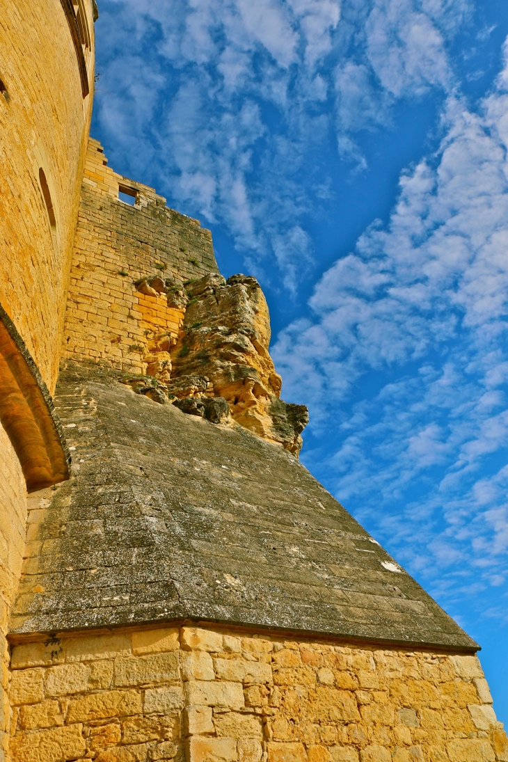 Le chateau de castelnaud - Castelnaud-la-Chapelle