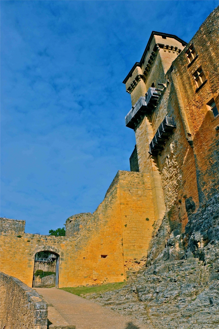 Le chateau de castelnaud - Castelnaud-la-Chapelle