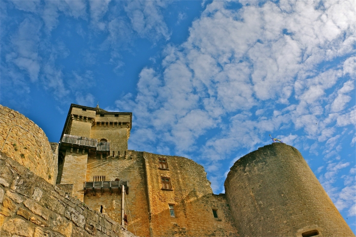 Le chateau de castelnaud - Castelnaud-la-Chapelle