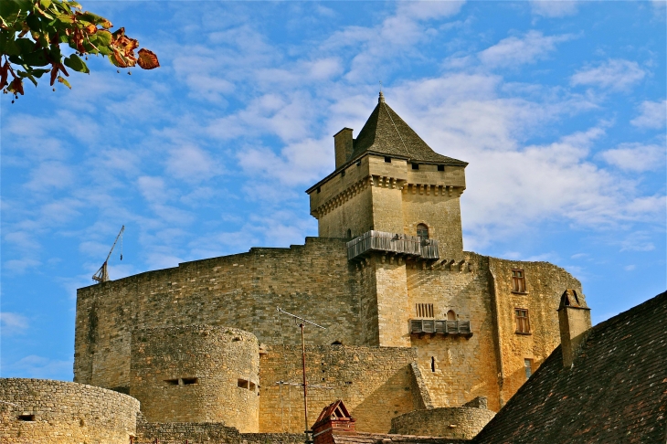 Le château de Castelnaud. - Castelnaud-la-Chapelle