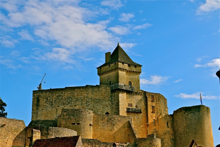 Le château de Castelnaud. - Castelnaud-la-Chapelle