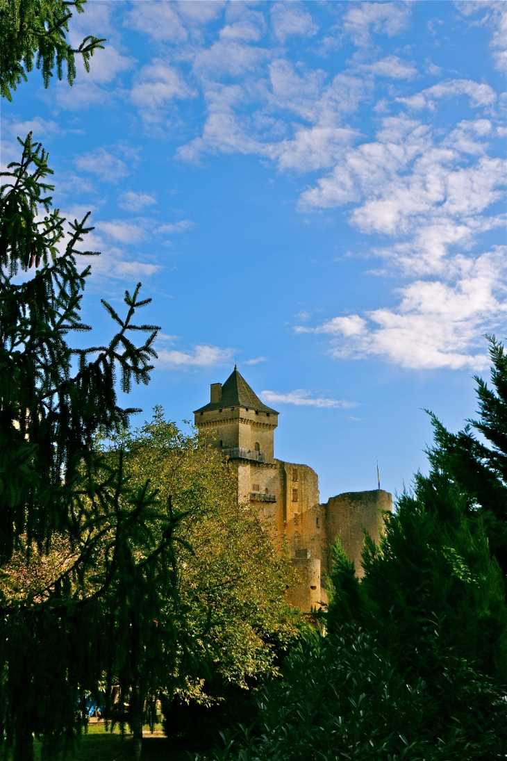 Le château de Castelnaud. - Castelnaud-la-Chapelle