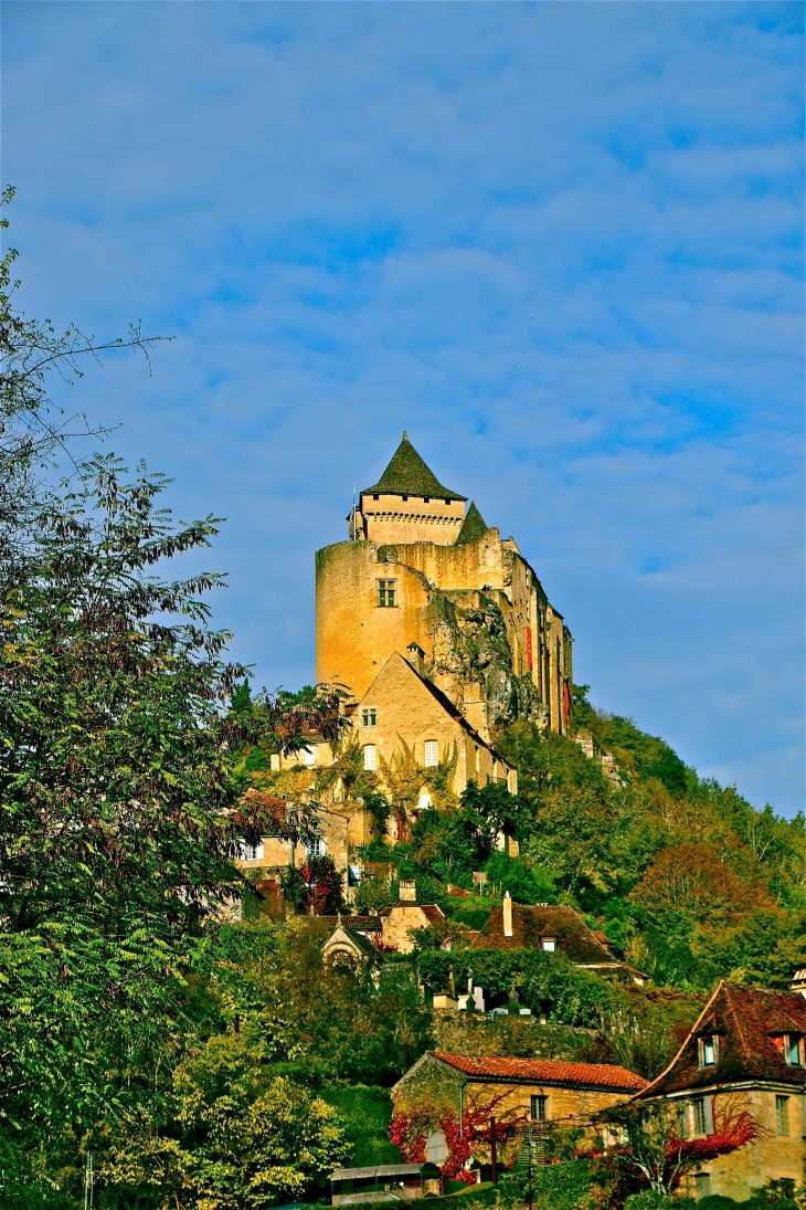 Le château de Castelnaud. - Castelnaud-la-Chapelle