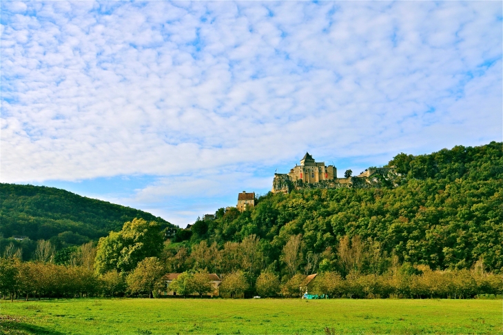 Le château de Castelnaud. - Castelnaud-la-Chapelle