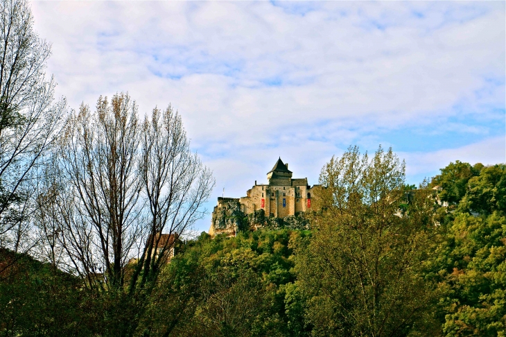 Le château de Castelnaud. - Castelnaud-la-Chapelle