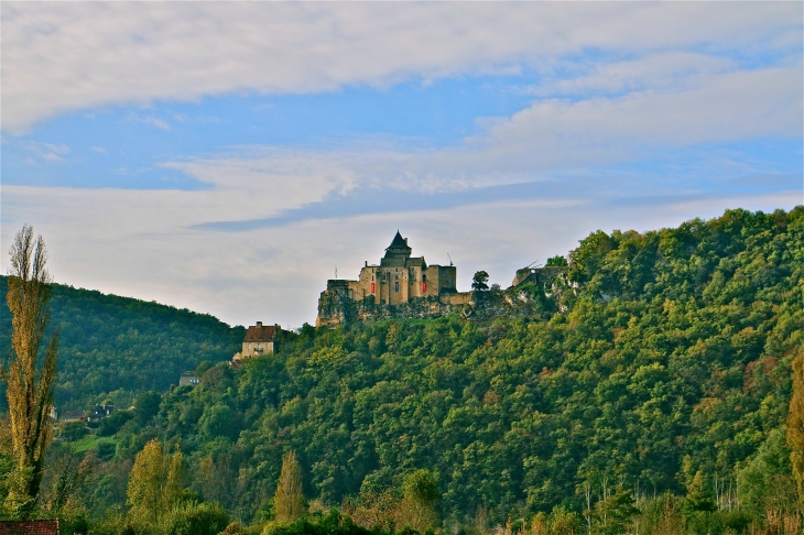 Le château de Castelnaud. - Castelnaud-la-Chapelle