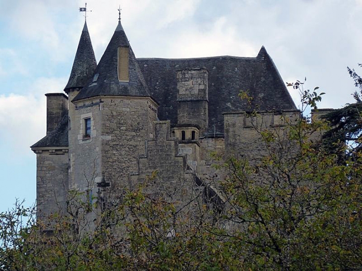 Le château de Fayrac - Castelnaud-la-Chapelle