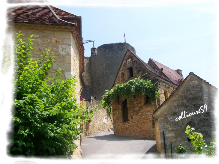 Château de Castelnaud - Castelnaud-la-Chapelle