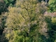 Photo suivante de Castelnaud-la-Chapelle Sur le bord de la Dordogne