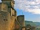 Photo suivante de Castelnaud-la-Chapelle Le Château