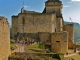 Photo suivante de Castelnaud-la-Chapelle Le Château