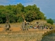 Photo précédente de Castelnaud-la-Chapelle Le château de Castelnaud.