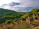 Vue sur le village.