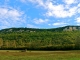 Photo précédente de Castelnaud-la-Chapelle Aux alentours