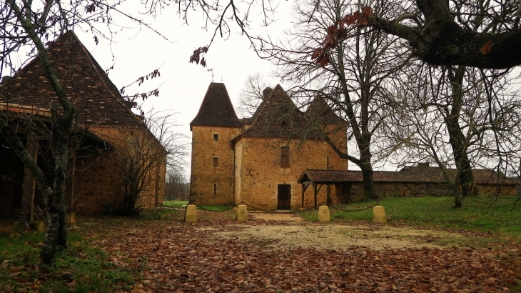 Un château à Sireybidou. - Cendrieux