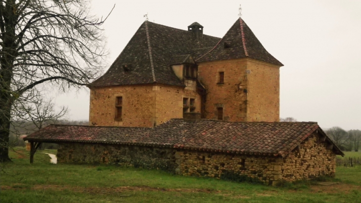 Un château à Sireybidou. - Cendrieux