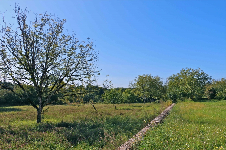 Depuis l'église - Cercles