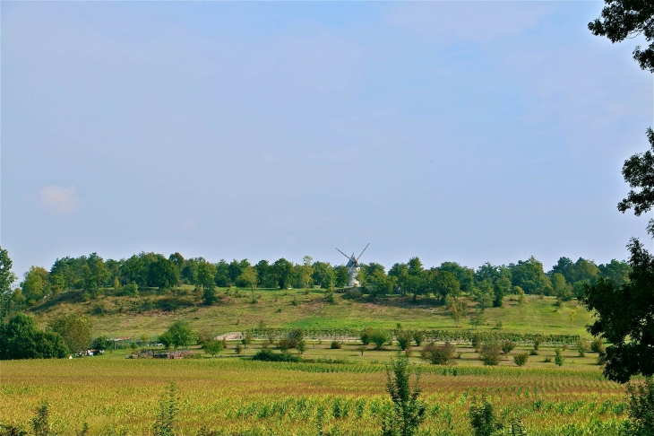 Vue sur le moulin des terres blanches - Cercles