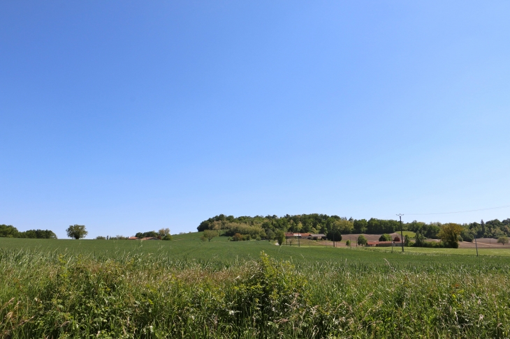 Aux alentours. - Champagne-et-Fontaine