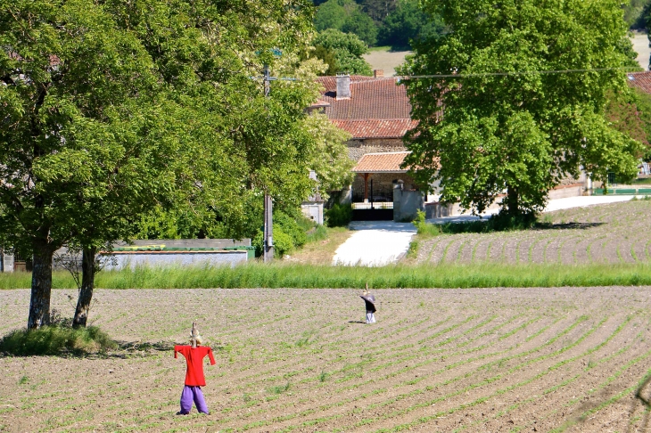 Les épouvantails de Champagne. - Champagne-et-Fontaine