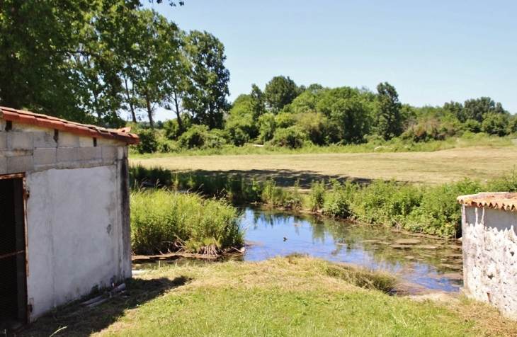 Ruisseau de Fontaines - Champagne-et-Fontaine