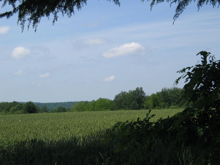 Vue de Chapniers - environs - Champniers-et-Reilhac