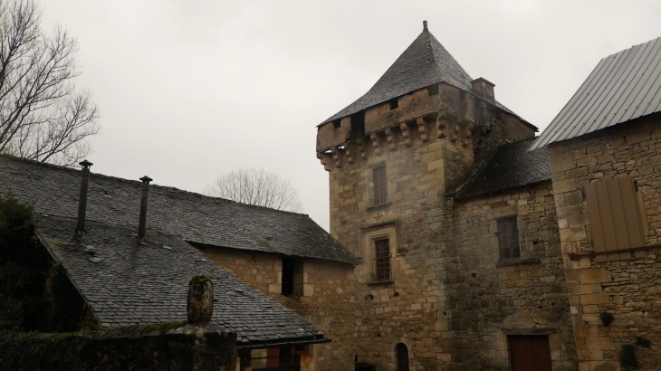 Ancienne commanderie de templiers puis d'hospitaliers, son donjon XVème(IMH) et son logis fortifié XVIème. - Condat-sur-Vézère