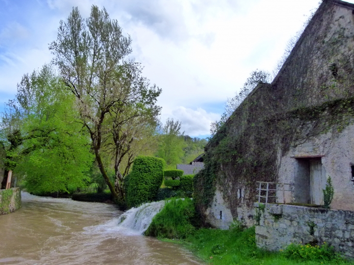 Cascade de Condat ...magnifique - Condat-sur-Vézère