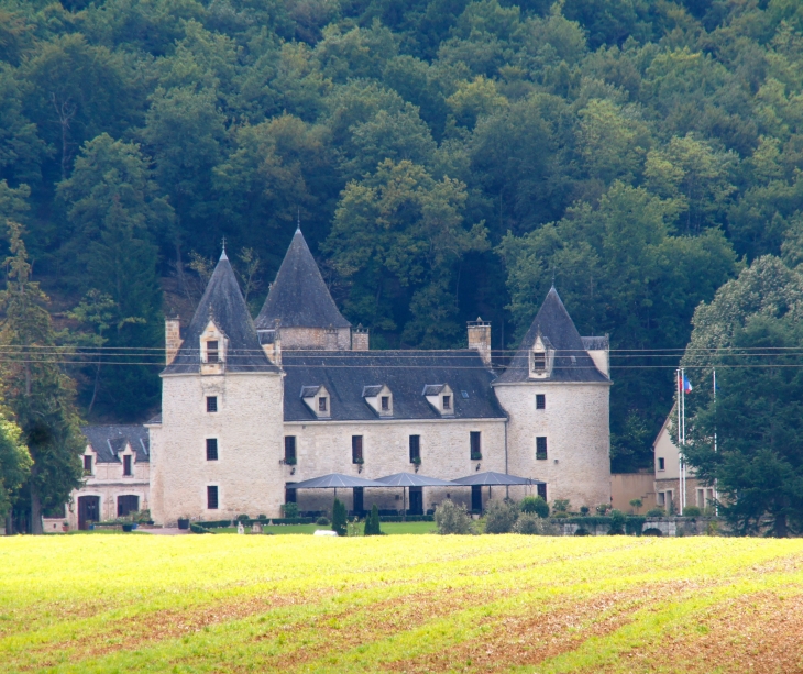 Château de Lafleunie en 2013. - Condat-sur-Vézère