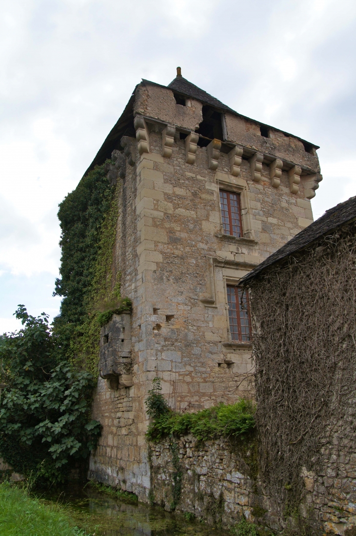 Restes d'une Commanderie de templiers, XIIIe siècle , en 2013. - Condat-sur-Vézère