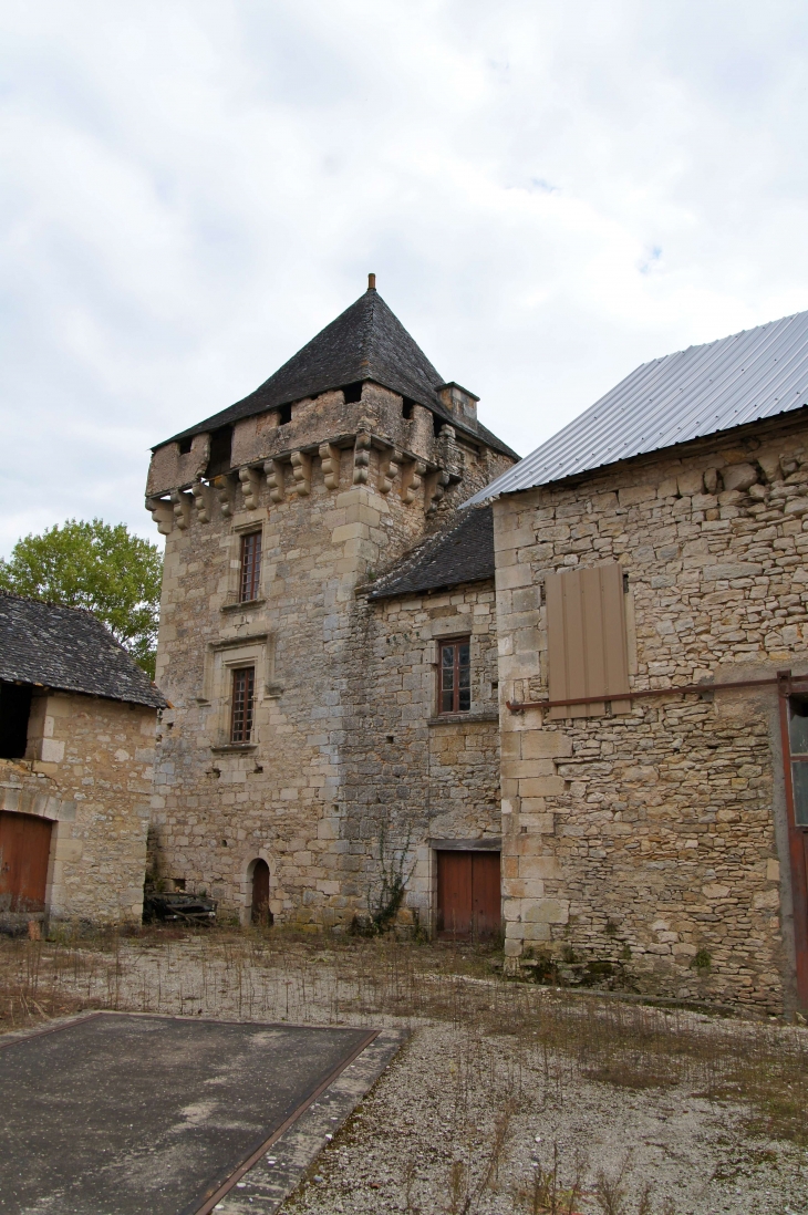 Dans la cour de la Commanderie. - Condat-sur-Vézère