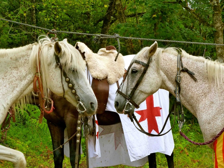 Au-chateau-de-laxion : Joutes Médiévales - Corgnac-sur-l'Isle